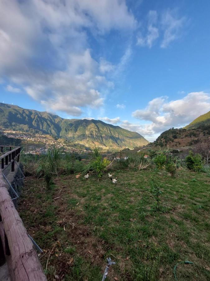 Lameiros Holiday home